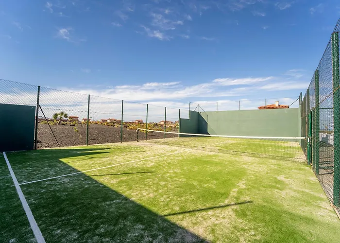 Colibri Dorado Lajares