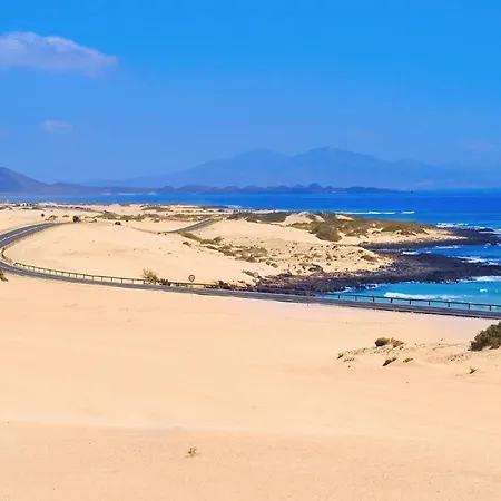 Colibri Dorado * Lajares