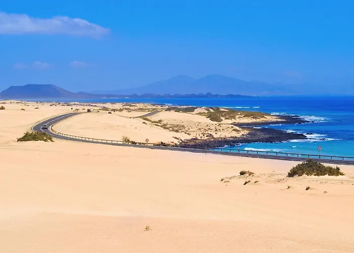 Colibri Dorado * 라하레스