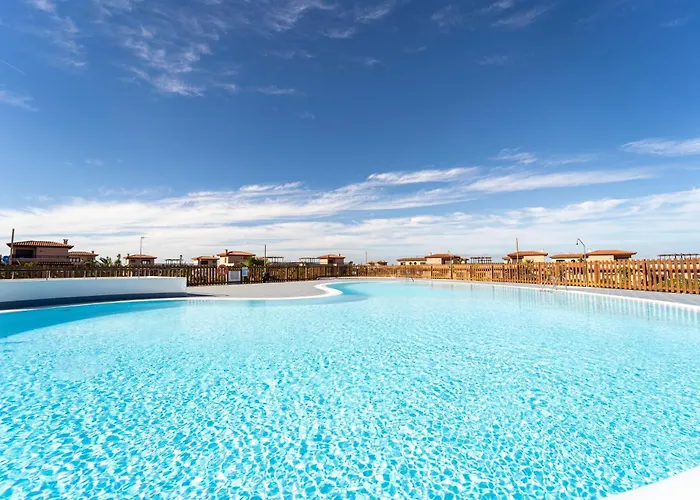 Colibri Dorado 라하레스