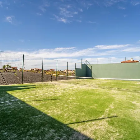 Colibri Dorado Lajares